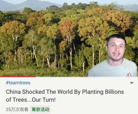 日韩种树视频大全集,绿色家园，共筑美好