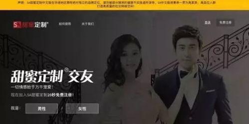 日韩欧美援交视频,暗流涌动的地下世界